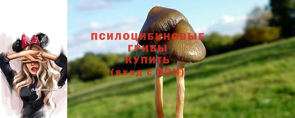 герыч Гусь-Хрустальный