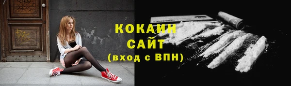 сатива Гусев