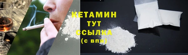 сатива Гусев
