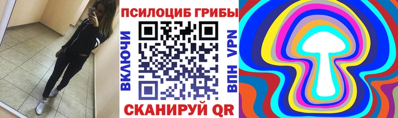 Галлюциногенные грибы Psilocybine cubensis  Заволжск 